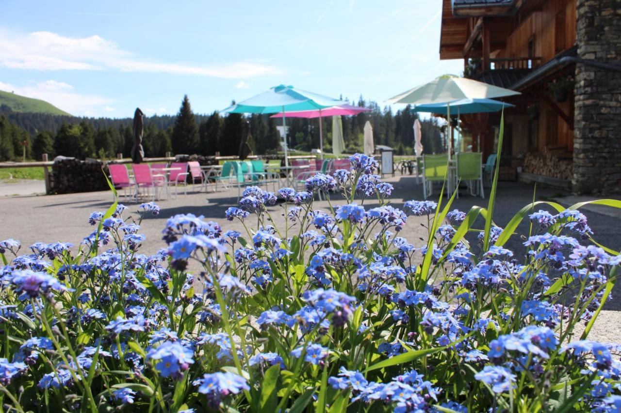 Chalet Hotel Vaccapark Le Praz de Lys Exterior photo