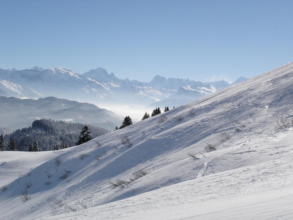 Chalet Hotel Vaccapark Le Praz de Lys Exterior photo