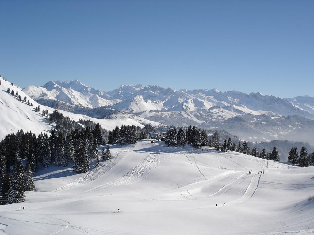 Chalet Hotel Vaccapark Le Praz de Lys Exterior photo